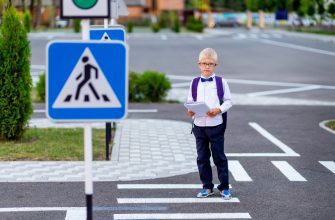 Что означает знак 5.33 Пешеходная зона, штраф за проезд 24 blond schoolboy with glasses backpack goes school pedestrian crosswalk
