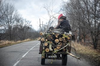 Что означает категория Е и BE, как получить права на прицеп 10 cart with tree logs rural landscape back view