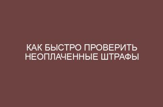 kak bystro proverit neoplachennye shtrafy 995