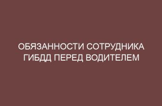 obyazannosti sotrudnika gibdd pered voditelem 56
